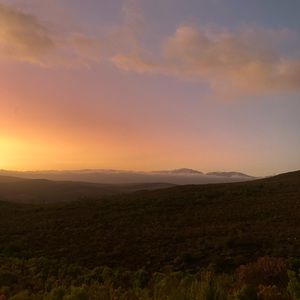 Meet your Posher, Janine